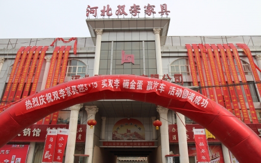 河北雙李集團發展歷程